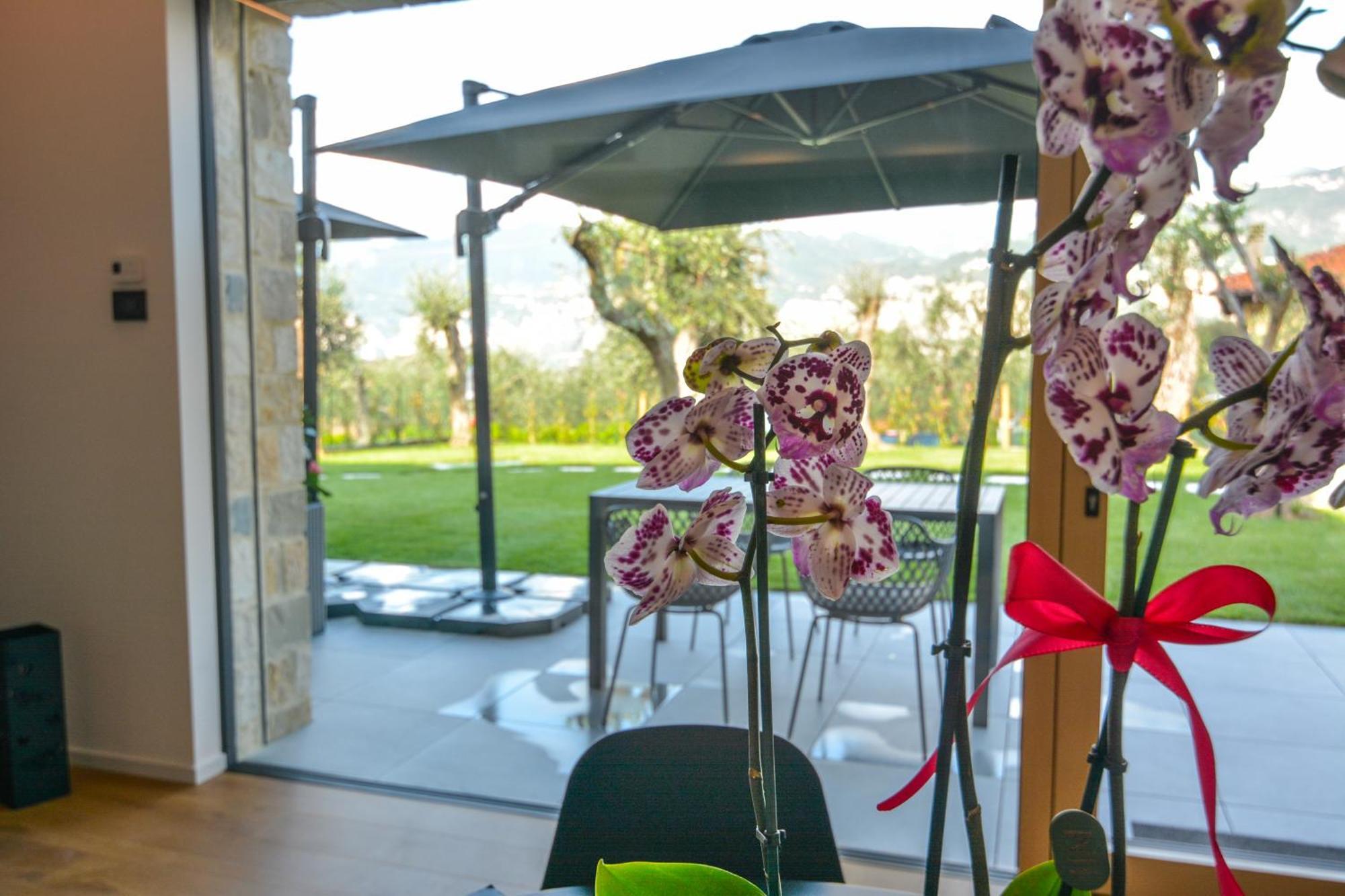 Olivo Luxury Apartments Malcesine Exterior photo